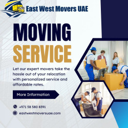 Best Movers in Dubai