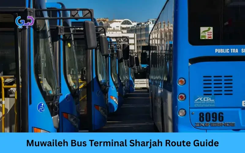 Muwaileh Bus Terminal Sharjah Route Guide