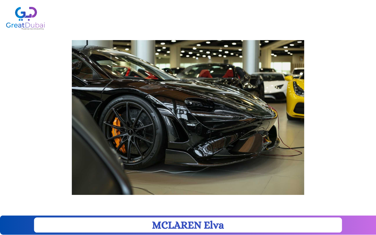 MCLAREN Elva-pic_1